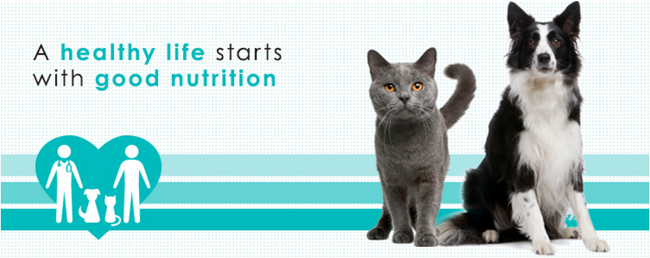 SANIMED（サニメド） 動物病院専売の猫用総合栄養食が新登場！