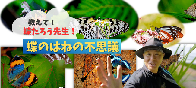 ちょうちょYouTuber 蝶たろう（林太郎）による「蝶のはねの不思議や蝶の生態」を学ぶ授業を9月14日（木）に開催