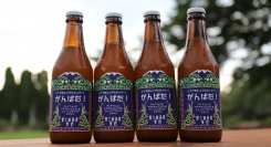 限定ビール「がんばだ！」9月1日（金）発売開始!!　シトラのシングルホップのニューイングランドヴァイツェン【富士桜高原麦酒】