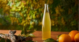 規格外の柑橘類を有効活用し、“見えないフードロス”を削減!自然農法で栽培した「美生柑」と「甘夏」で作った自然派果実酒3種が、9月2日より販売開始 規格外の柑橘類を有効活用し、“見えないフードロス”を削減!自然農法で栽培した「美生柑」と「甘夏」で作った自然派果実酒3種が、9月2日より販売開始