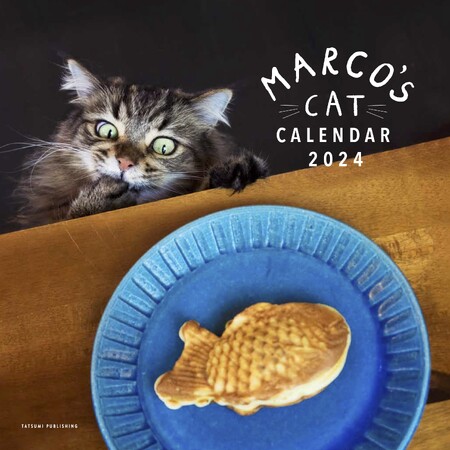 SNSで大人気！ 面白可愛いシュールな猫たちが毎日を彩る「MARCO's CAT CALENDAR 2024」が発売！