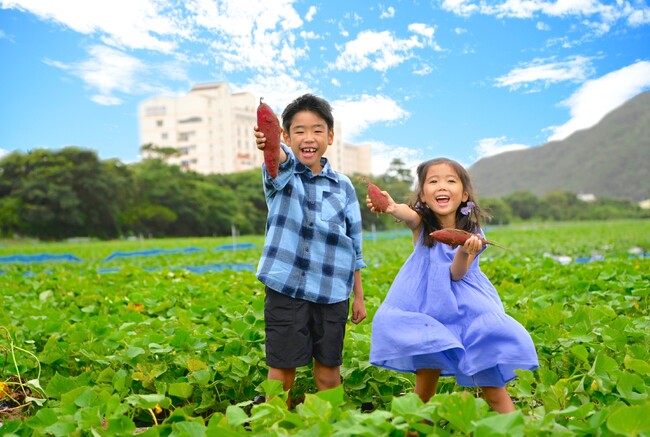 食欲の秋！日帰り♪ なると金時いも掘り × 郷土料理バイキング阿波三昧 × 鳴門温泉