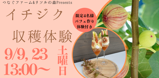 9/9,23（土）荒廃農地を再生した農地でイチジクの収穫体験&パフェ作りイベントを開催