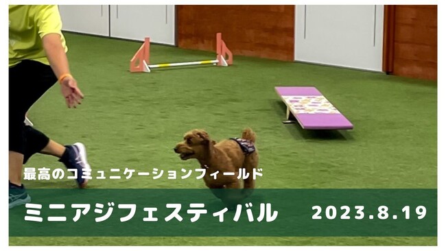 新たなドッグスポーツの魅力を発見！グリーンフィールド天王寺、ミニアジフェスティバル開催のお知らせ