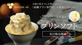 100％プリンソフト先行販売開始