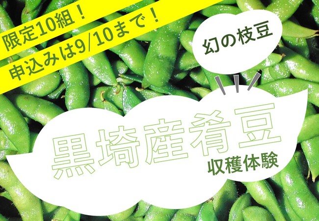 幻の枝豆と呼ばれる『肴豆（さかなまめ）』の収穫体験を新潟市のふるさと納税で。新潟市の誇る貴重な肴豆に触れて感じてもらうために企画から全面サポート。9月10日まで寄附受付中。