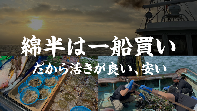 綿半は一船買い！だから活きが良い、安い！新鮮で美味しいお魚を提供するため、漁船をチャーターし、当日採れた魚をすべて店頭で販売する仕入れをスタートしました。