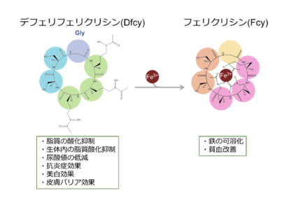 ハナマルキと月桂冠が共同研究で成果