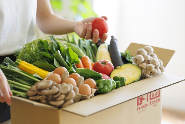 豊作の野菜をお得に届ける「きまぐれ野菜クラブ」を全国展開。物価高騰の影響を受けるご家庭にも、環境負荷の小さい農業に取り組む生産者にも嬉しいサービスを目指す