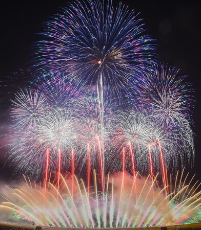 【徳島県】全国花火師競技大会「にし阿波の花火」