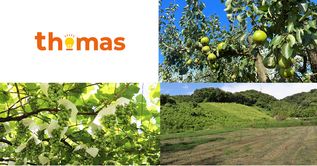 フルーツ×ITで未来へつなげるCSR！thomas株式会社が山形県天童市の農園と社会貢献プロジェクトをスタート！