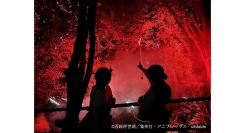 兵庫県立淡路島公園アニメパーク「ニジゲンノモリ」×『鬼滅の刃』コラボイベント『ナイトウォーク刀鍛冶の里』が18時00分から楽しめる！！