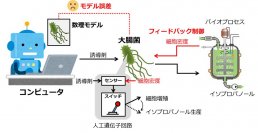 微生物とコンピュータが協力するハイブリッドなバイオプロセス制御システムを開発