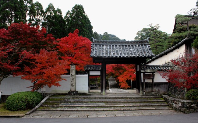 「酬恩庵 一休寺」名勝庭園茶室「虎丘庵」の秋季特別拝観開催決定！