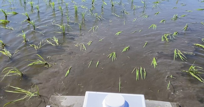 農業用除草ロボットSV01を開発