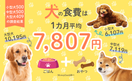 犬の食費は1カ月平均7,807円