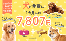犬の食費について飼い主1,409人に調査した結果を公開！月の平均は7,807円で、大型犬は1万円超え！