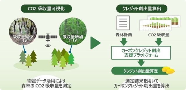 衛星データ活用により森林のCO2吸収量を可視化し、カーボンクレジット創出量を算出する実証実験に成功