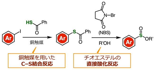 チオエステルの直接酸化によりスルフィン酸エステルを簡便に合成