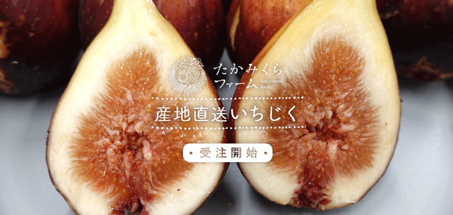 シニフィアン　シニフィエ初！！産地直送！今が旬のいちじくを販売開始。農薬・化学肥料に頼らずに実った、こだわりのいちじくです。兵庫県加古川市 たかみくらファームからの産地直送でお届けします。