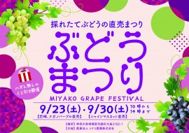 ぶどうまつり ぶどうまつり