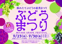 ミヤコ農園株式会社が直売イベント「ぶどうまつり」を9月23日(土)、9月30日(土)に開催！