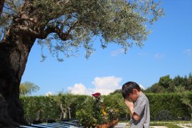 孫や後世に負担がかからない樹木葬 孫や後世に負担がかからない樹木葬