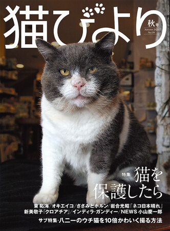 猫を保護したらどうすべき？ 9月12日（火）発売の猫専門誌『猫びより』秋号で、幸せな“猫生”のためにできることを考えよう！