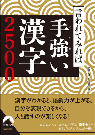 大人にとって本当に大切な「漢字力」をまるごと詰め込んだ『言われてみれば手強い漢字2500』発売！