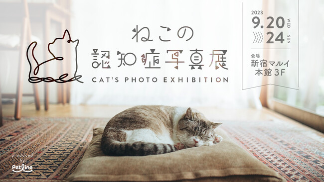 「ねこの認知症 写真展」を9月20日から新宿マルイ本館で開催