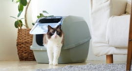 “砂の飛び散り”や“粗相”の不安を大幅に軽減！飼い主にもニャンコにも快適な「猫用大型トイレ」がベルギーより上陸、活性炭フィルターで気になるニオイもカット