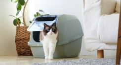 “砂の飛び散り”や“粗相”の不安を大幅に軽減！飼い主にもニャンコにも快適な「猫用大型トイレ」がベルギーより上陸、活性炭フィルターで気になるニオイもカット
