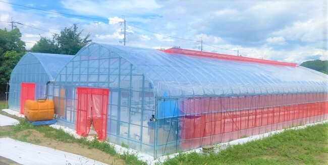 大阪府池田市が先進農福連携事業を開始 スマート農業×農福連携の普及に向けて、最適な農業用ハウス構造の設計をタカミヤが支援