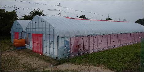AI潅水施肥システムの「ゼロアグリ」大阪府池田市の先進農福連携農園に導入