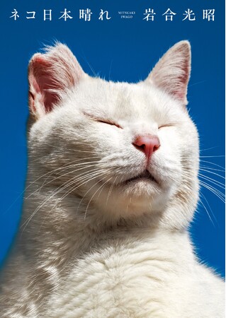 迫力の大判サイズで岩合さんが魅せるニッポンの猫たち！ 岩合光昭 写真集『ネコ日本晴れ』発売　大都市・大阪から瀬戸内海に浮かぶ日本晴れの女木島まで