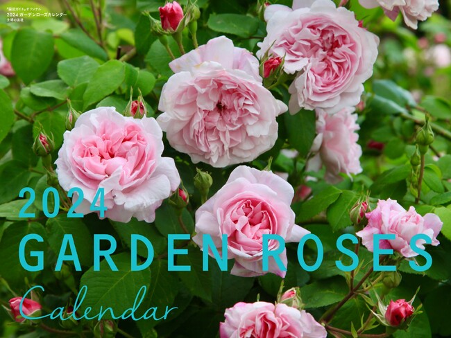リピーター多数！毎年好評のガーデンローズカレンダー、ガーデンフラワーカレンダーの2024年版が発売