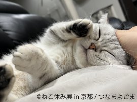 展示作品1 展示作品1