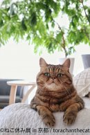 展示作品3 展示作品3