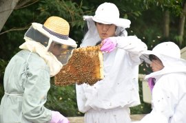 みつばちプロジェクトが八王子キャンパスで養蜂