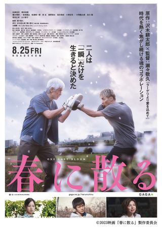ボクシングギアを展開する「EVERLAST」が映画『春に散る』に衣装協力