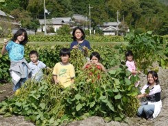 【JAF兵庫】秋の丹波の味覚を楽しめるイベントを開催「丹波篠山黒枝豆＆さつまいも収穫体験inユニトピアささやま」