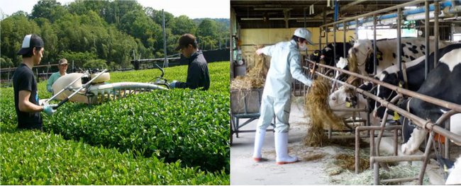 京都で畜産や宇治茶生産の担い手になるには？就農セミナー＆相談会を10月7日（土）にキャンパスプラザ京都にて開催！