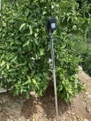 センサー設置イメージ センサー設置イメージ