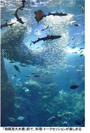 Chefs for the Blueが、新江ノ島水族館、江の島・フィッシャーマンズ・プロジェクト と未来へつながるディナーイベント【Bistroえのすい】を共催