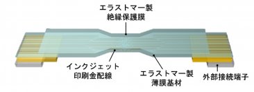 ラップのように脳を優しく密に覆える薄膜電極を開発