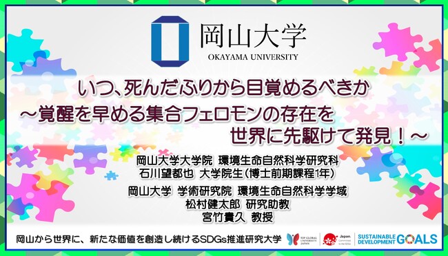 【岡山大学】いつ、死んだふりから目覚めるべきか ～覚醒を早める集合フェロモンの存在を世界に先駆けて発見！～