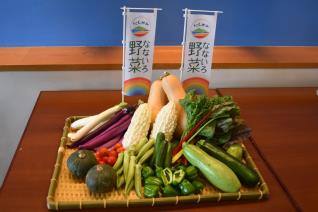 水の都にいがたにねむる伝説の石板に記されたなぞを解き明かそう「にいがた謎解きクエスト～水の都と伝説の石板～」を開催！