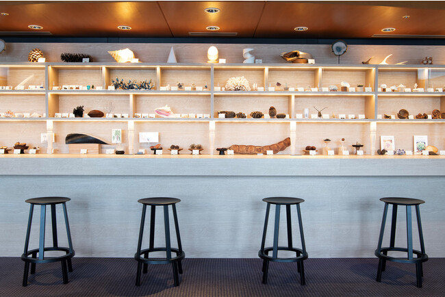 【星野リゾート　リゾナーレ大阪】植物、鉱物、貝類、魚類、昆虫など、厳選した150点のユニークな標本を展示する「アトリエカフェ」オープン｜期間：2023年9月14日～