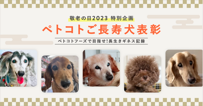 フレッシュペットフード「ペトコトフーズ」が敬老の日に合わせて、長寿の愛犬を表彰する「ペトコトご長寿犬 2023」を発表