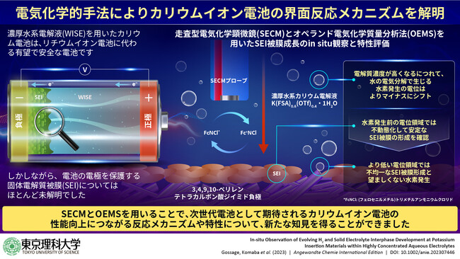 走査型電気化学顕微鏡を用いてカリウムイオン電池の界面反応メカニズムを解明